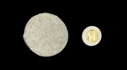 SEA SIDE AQUATICS PLUGS O FRAGS MEDIANO