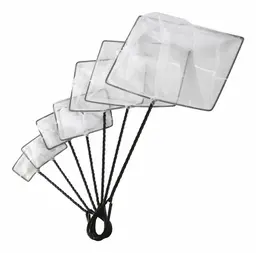 [ACCE032] SEA SIDE AQUATICS RED 14"