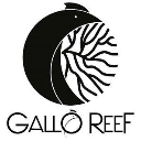 Acuario gallo