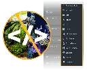 AppNoCoding_1.webp