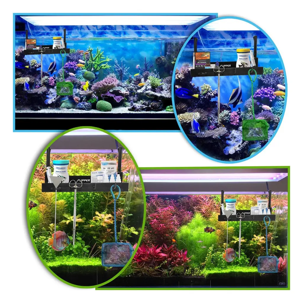 FLP4005-flipper-tank-buddy-tray-setup__69039.webp