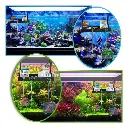 FLP4005-flipper-tank-buddy-tray-setup__69039.webp