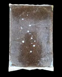 ARTEMIA CONCENTRADA CONGELADO 1K