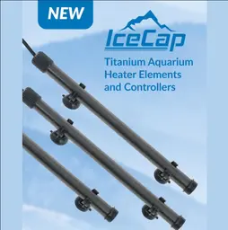 ICECAP CALENTADOR DE TITANIO 100W SIN CONTROLADOR