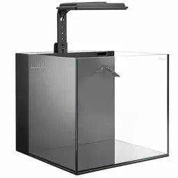 MAXSPECT DICE AIO 12 GALLON NANO CUBE AQUARIUM W/ MJ-L165 LED PECERA / TANQUE