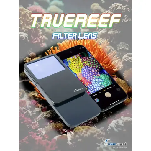 [ACCE028] MAXSPECT TRUEREEF FILTRO SUNSET BOULEVAR VISOR LENTE PARA CELULAR