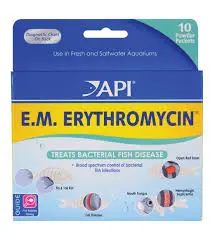 [MED067] API EM ERYTHROMYCIN / ERITROMICINA 10 SOBRES