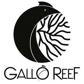 Acuario gallo reef
